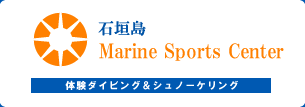 石垣島Marine Sports Center｜体験ダイビング・シュノーケリング